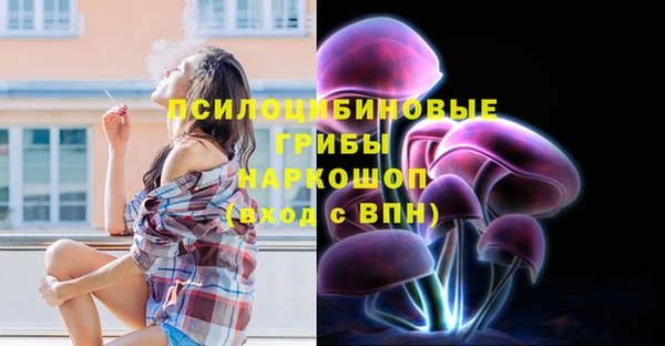 не бодяженный Верхний Тагил