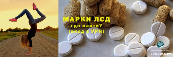 МДПВ Бородино
