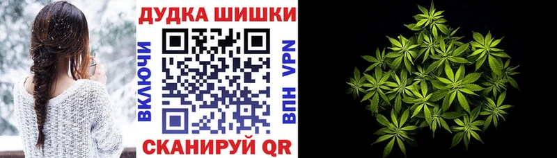 Марихуана планчик  где продают   Ветлуга 